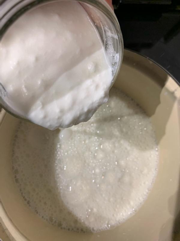 how to make homemade cottage cheese
