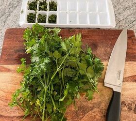 how to have fresh herbs all winter long, Ready to chop up all my fresh herbs and store them for the winter