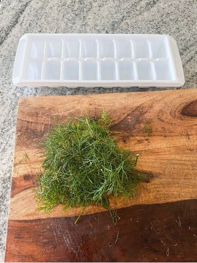 how to have fresh herbs all winter long, Fresh dill ready to be frozen and stored for the winter