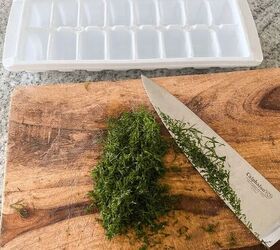 how to have fresh herbs all winter long, Here is the chopped up fresh dill
