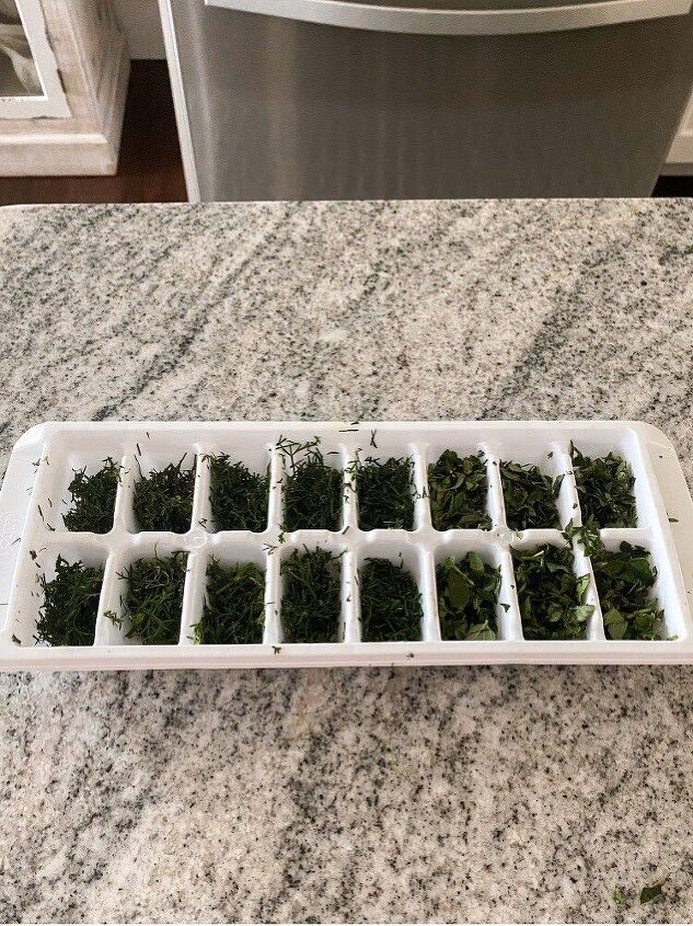 how to have fresh herbs all winter long, All the herbs in the tray