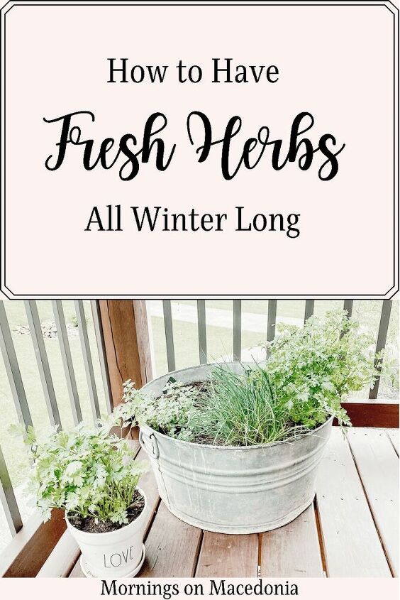 how to have fresh herbs all winter long, Pin for later