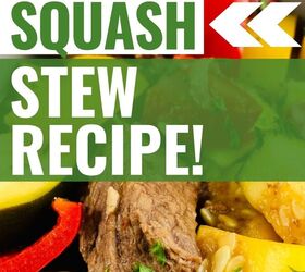 summer squash stew
