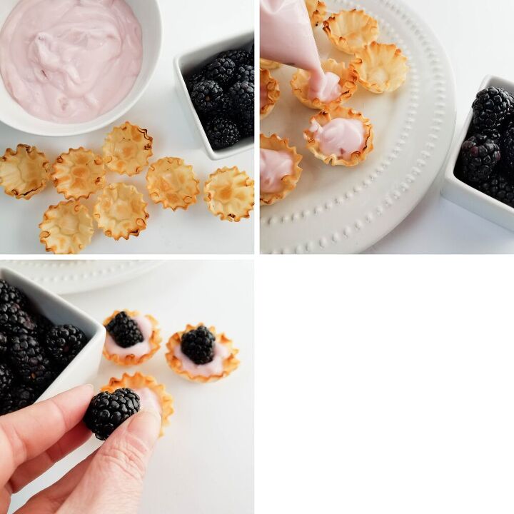 blackberry yogurt tarts recipe