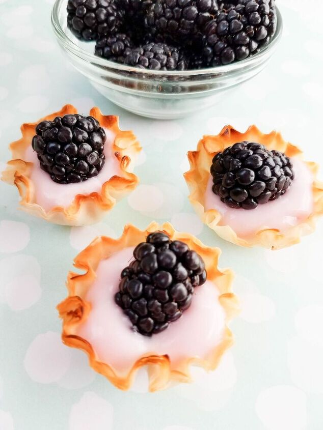 blackberry yogurt tarts recipe