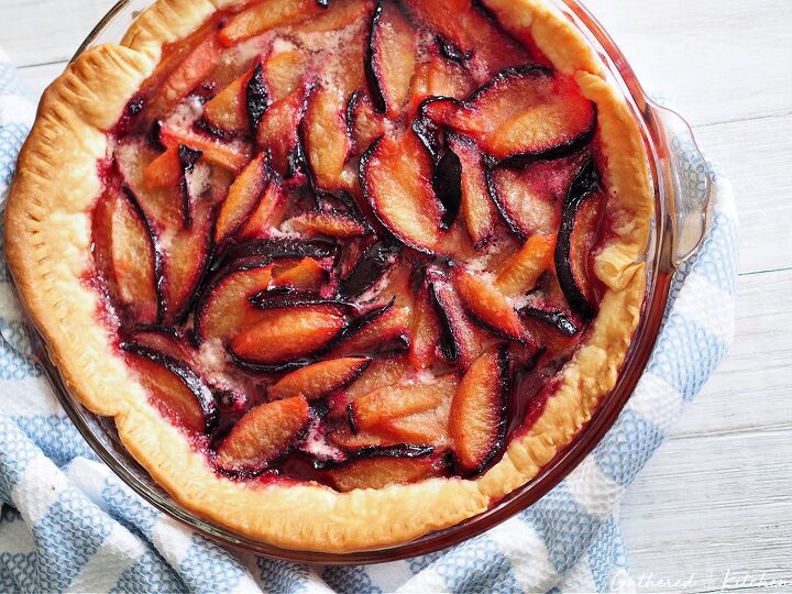 homemade fresh purple plum pie