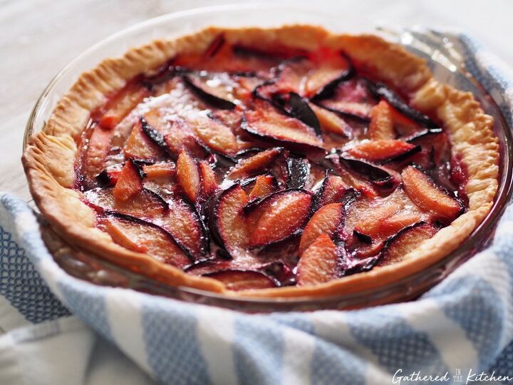 homemade fresh purple plum pie