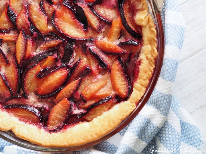 homemade fresh purple plum pie