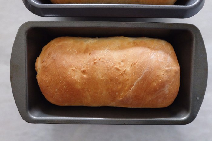 Basic Bread | Foodtalk