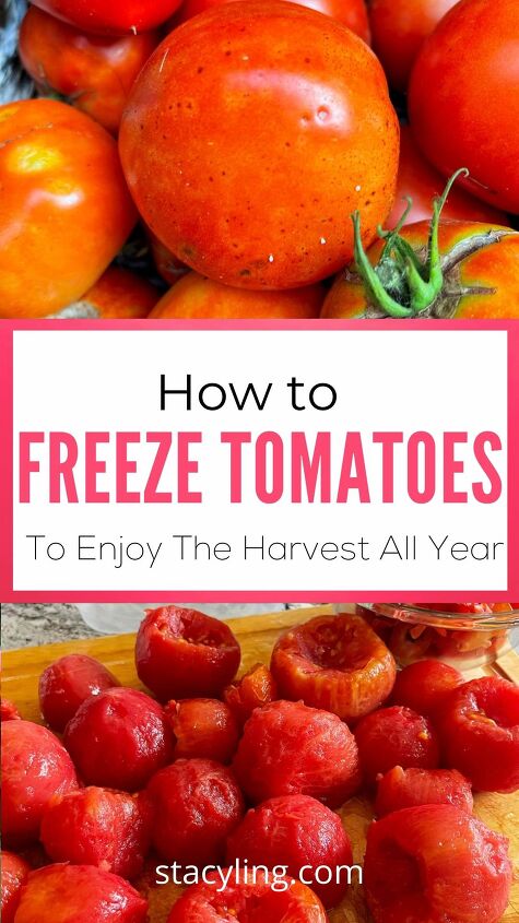 freezing tomatoes to enjoy the harvest year round