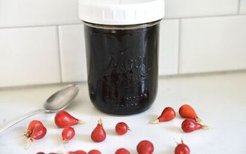With Rosehips and Elderberries, This Tasty and Easy-to-make Oxymel is 