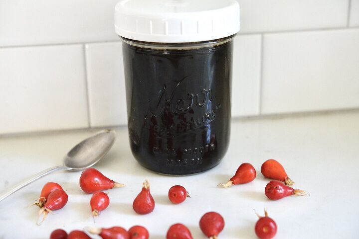 with rosehips and elderberries this tasty and easy to make oxymel is
