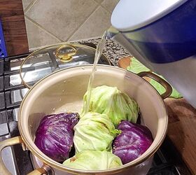 how to make deliciously healthy cabbage rolls