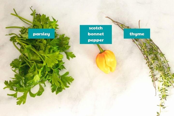 homestyle spicy pumpkin soup how to make the best caribbean pumpki, Essential Aromatics