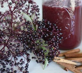 Favorite Thick Elderberry Syrup Recipes | With Arrowroot