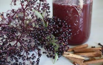 Favorite Thick Elderberry Syrup Recipes | With Arrowroot
