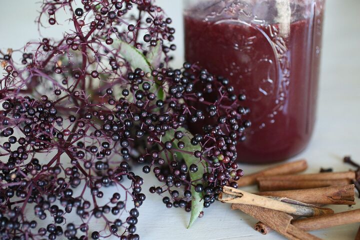 favorite thick elderberry syrup recipes with arrowroot