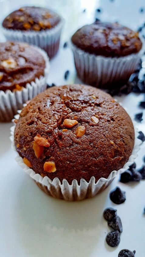 chocolate walnut muffins