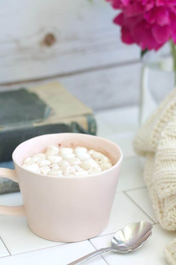 hot cocoa mix organic home made easy