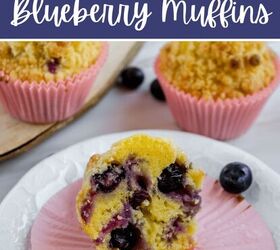 Easy Blueberry Muffin Crumb Topping Recipe Foodtalk