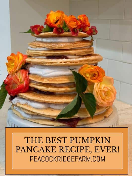 the best pumpkin pancakes recipe ever