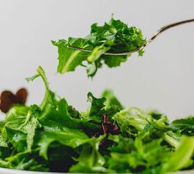 Mixed Greens and Herb Salad