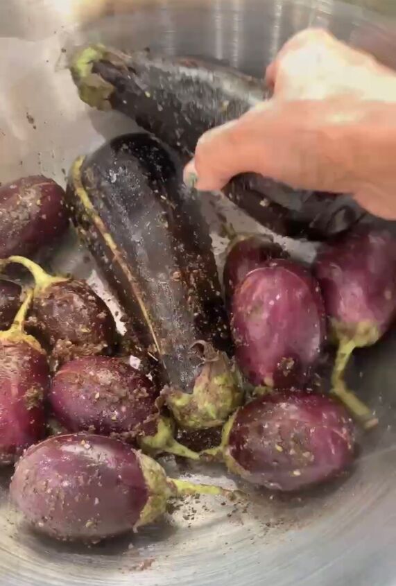 roasted sumac zaatar eggplant