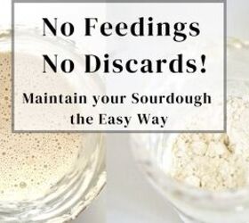 Learn How I Have Been Maintaining an Easy Sourdough Starter Without Da