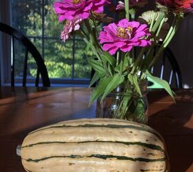 How to Cook Delicata Squash | Foodtalk