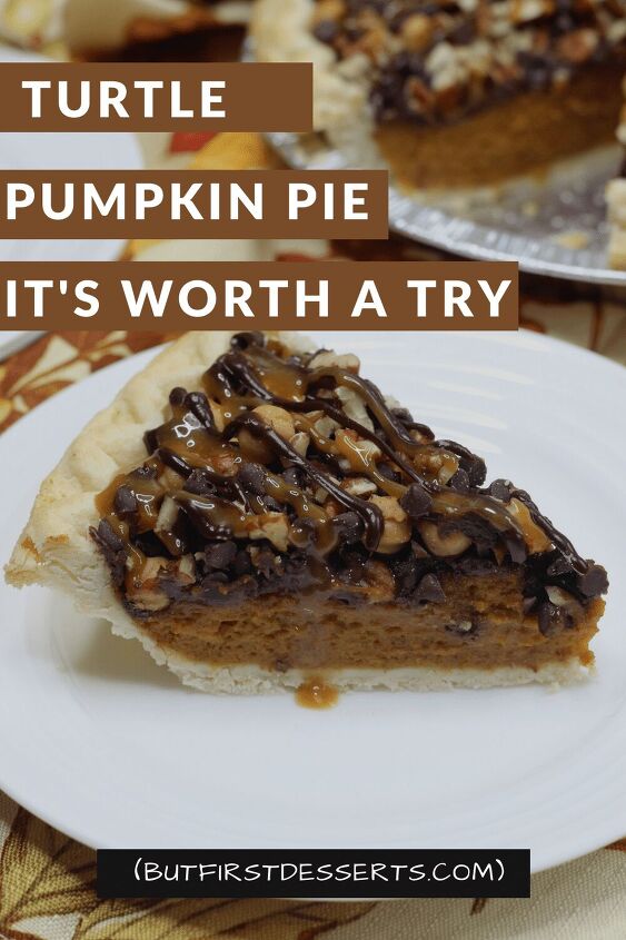 turtle pumpkin pie it s worth a try
