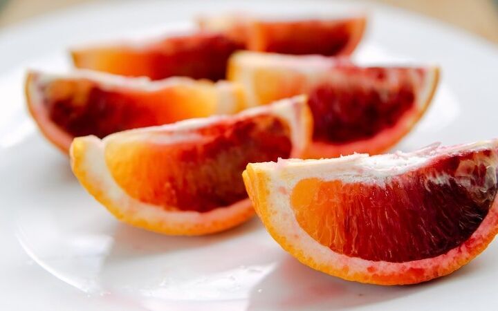 blood orange dessert bars