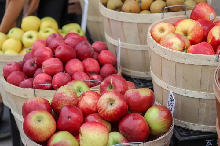 ideas for canning preserving apples this fall