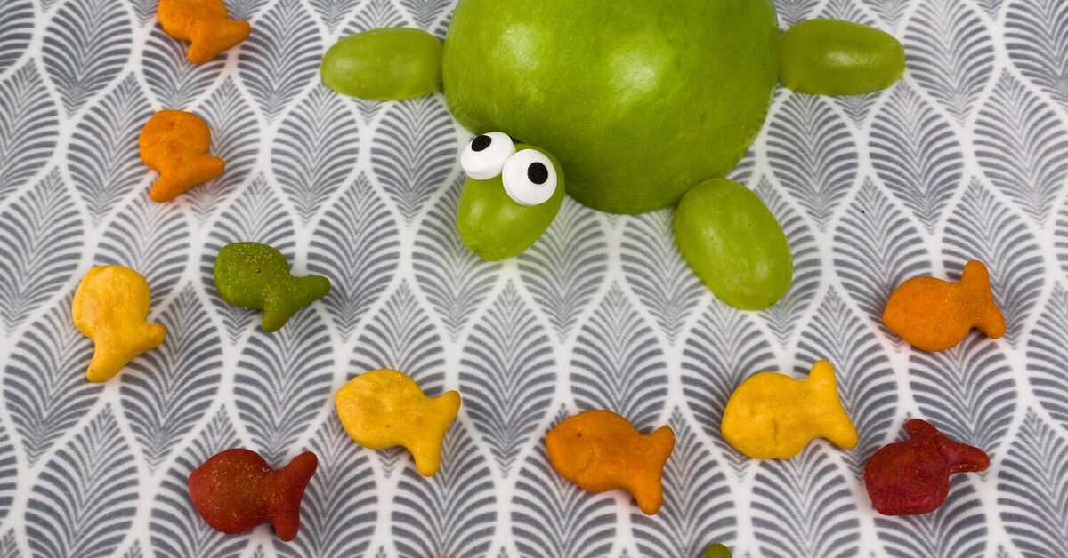 Easy Sea Turtle Snack for Kids | Foodtalk