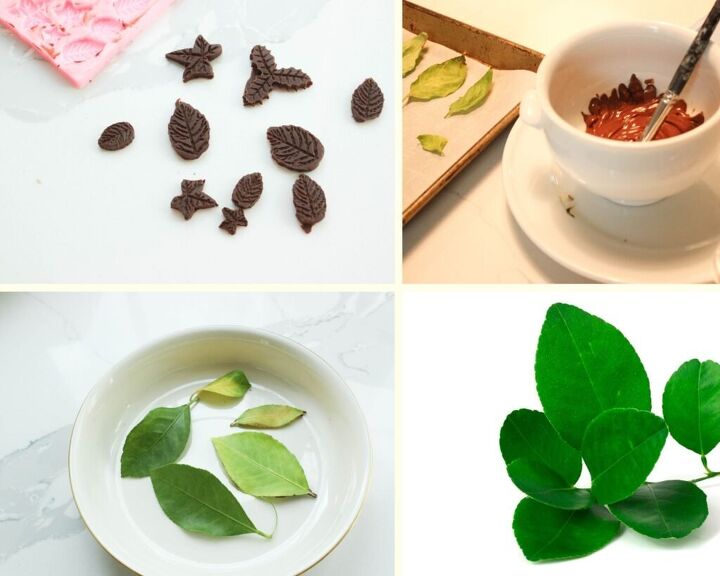 chocolate leaves recipe
