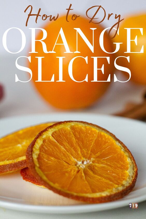 how to dry orange slices the kitchen garten, Dried orange slices on white plate