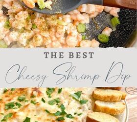 the best bubbly cheesy shrimp dip