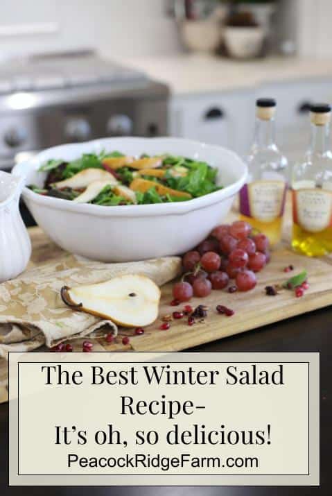 the best winter salad recipe oh so delicious