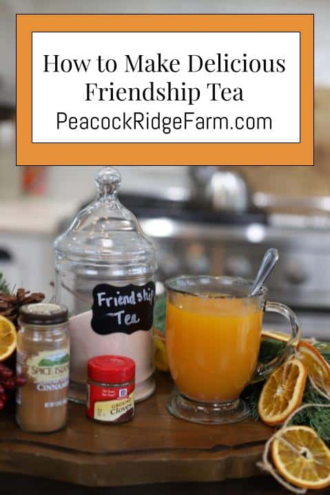 how to make delicious friendship tea