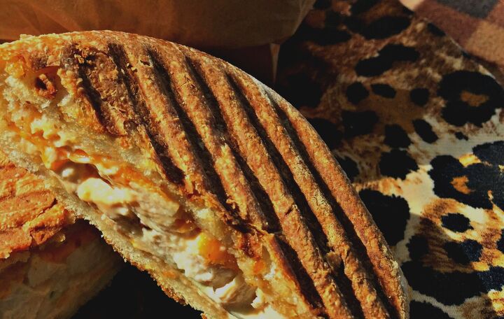 grilled chicken cheddar and apple panini