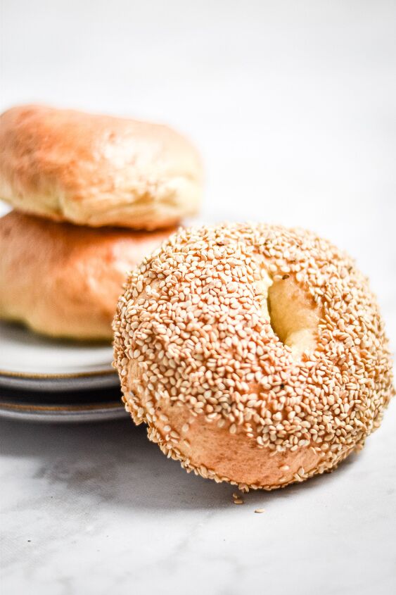 homemade bagels proofed in the instant pot