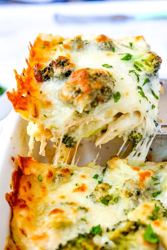 easy chicken broccoli lasagna