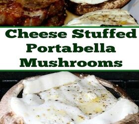 cheese stuffed portabella mushrooms recipe
