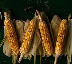 Grilled Corn on the Cob With Old Bay Seasoning