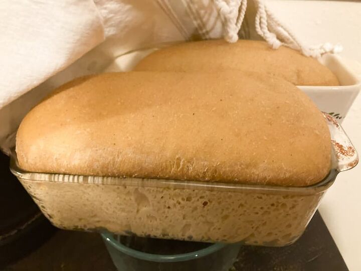 whole wheat sourdough sandwich bread recipe, The light is weird in this picture but this is after it rose the second time it is not yet baked