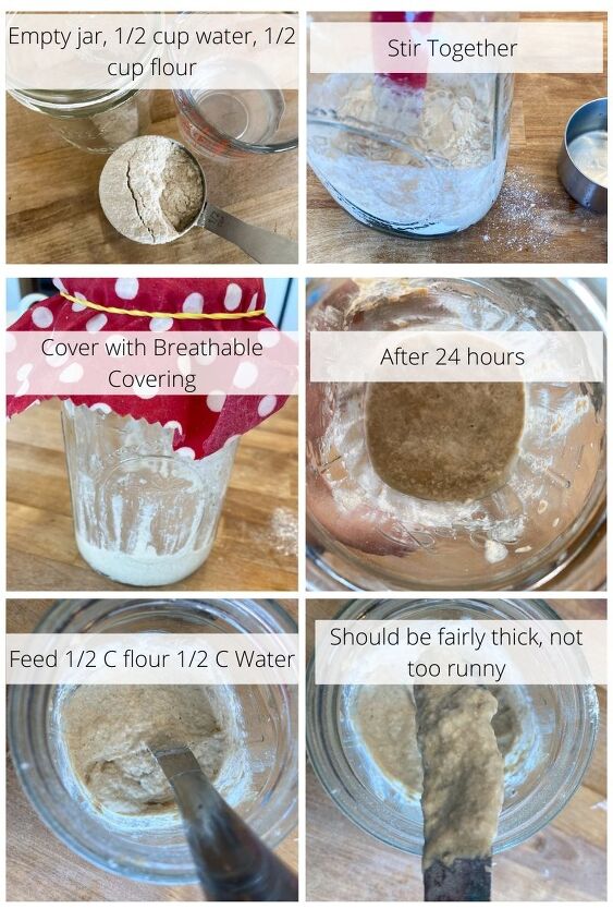 sourdough starter recipe simple easy sourdough starter step by step