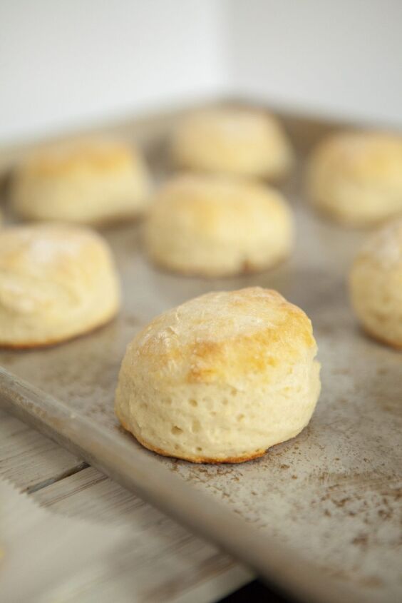easy 2 ingredient dough rolls or biscuits