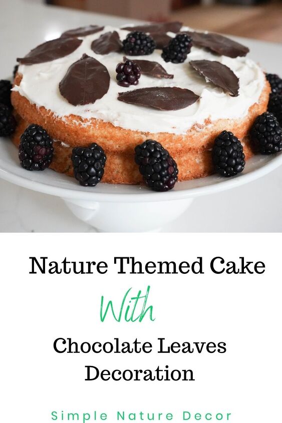 nature themed cake with chocolate leaves decoration