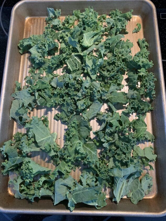 crunchy parmesan kale chips, Kale in bite sized pieces on a baking sheet