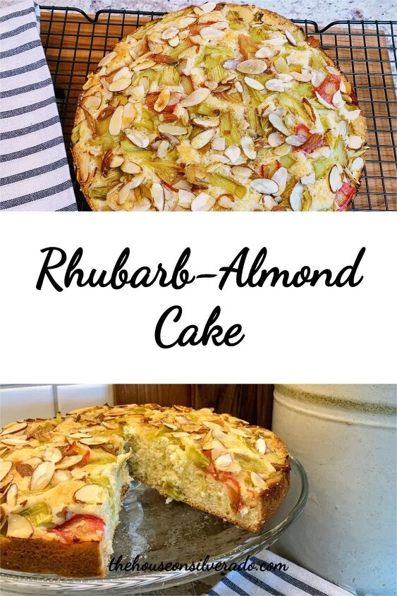 rhubarb almond cake