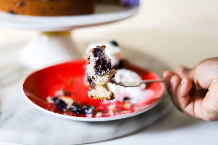 simple blueberry cake with no frosting